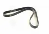 Ремень поликлин. (Пр-во SKF) VKMV6PK1100