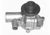 Помпа водяна MAGNETI MAGNETI MARELLI WPQ1020 (фото 1)