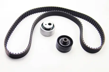 Комплект ГРМ Scudo / Jumpy / Berlingo / Partner 1.9D (DW8) 98- Peugeot/Citroen 0831.R7