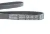 Роликовый модуль натяжителя ремня (ролик. Ремень) DAYCO KPV279 (фото 7)