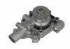 Водяний насос ALFA ROMEO AR 8 фургон (280) / RENAULT MASTER I TRAFIC (P6) (PXX) TRAFIC (TXW) DOLZ S151 (фото 1)