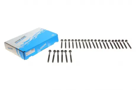 Комплект болтів головки блоку ціліндрів MB E-G-S (W210, W124, W463, W140) 3,0TD 93-98 VICTOR REINZ 14-32033-03 (фото 1)