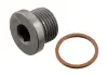 Пробка поддона BMW 1 (F20) / 3 (E36) / 5 (E60, F10) / 7 (F01) / X5 (E53, E70) "96 >> 31704