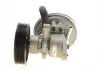 Насос вакуумный CITROEN / PEUGEOT / FIAT Ducato, Boxer, Jumper 2,5D, TD -02 PIERBURG 7.24808.04.0 (фото 3)