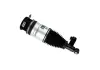 Амортизатор AUDI / PORCHE / VW Q7 / Touareg / Cayenne "RL" 02-10 BILSTEIN 45-240973 (фото 3)