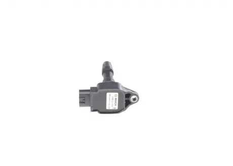 Котушки запалювання RENAULT Clio / Scenic / Kangoo / Megane \ '\' 12 >> BOSCH 0986221079
