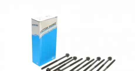 Комплект болтов головки блока цилиндров SEAT / VW 1,0-1,4 -05 VICTOR REINZ 14-32123-01