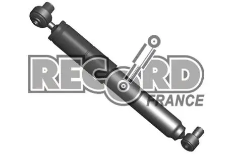АМОРТИЗАТОР RENAULT MEGANE SCENIC AR (8200662252) RECORD 004325