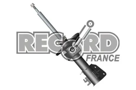 АМОРТИЗАТОР RENAULT MASTER III 04.10> AV RECORD 104832