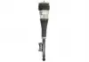 Амортизатор MB W222 "RL" 13 >> BILSTEIN 44-239985 (фото 2)