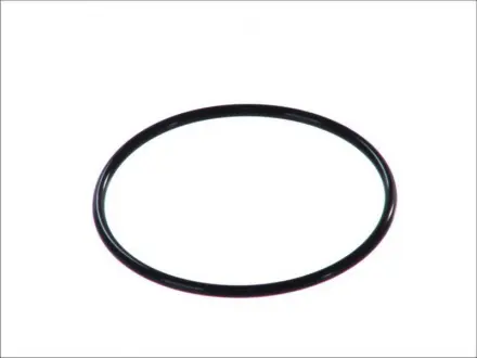 Ущільнювальне кільце - кратн. 10 шт BOSCH 2469403065