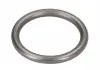 Ущільнювальне кільце кратн. 5 штук. BOSCH 2440210020 (фото 1)