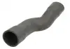 Патрубок інтеркулера THERMOTEC DCX068TT (фото 2)