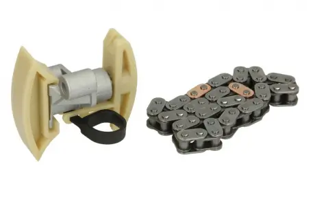 Цепь + натяжитель PSA DV6 Fiat/Alfa/Lancia 9658356980