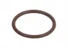 Элемент форсунки Common Rail BOSCH F00VP01005 (фото 1)