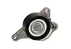 Натяжитель RENAULT Megane / Scenic / Trafic "2.0-2.3 DCI" 05 >> GA35531
