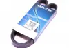 Ремень поликлиновой DAYCO 6PK1029EE