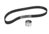Роликовый модуль натяжителя ремня (ролик. Ремень) SKF VKMA 96002