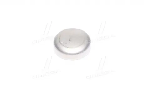 Заглушка ГБЦ DAEWOO LANOS / NEXIA / AVEO / LAC GM 96946573