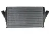 Интеркулер THERMOTEC DAX002TT (фото 1)