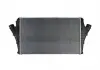 Интеркулер THERMOTEC DAX002TT (фото 4)