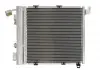 Радиатор кондиционера THERMOTEC KTT110000 (фото 2)