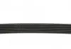 Ремень поликлиновой DAYCO 5PK1334 (фото 4)