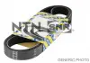 Ремень генератора Berlingo / Partner / Jumpy / Expert / 206 / 306new DW8 -AC SNR NTN CA6PK1437 (фото 1)