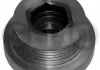 Шкив генератора 1.5dCi Kangoo / Clio 01- / Logan 06- T404728