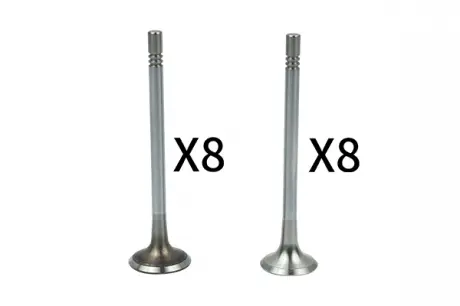 Клапан впускний (к-кт 8-8) Borsehung B18628