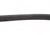 Комплект дорожечным поясов SKF VKMA36067 (фото 4)