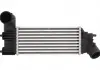 Интеркулер THERMOTEC DAC005TT (фото 1)