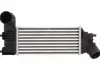 Интеркулер THERMOTEC DAC005TT (фото 3)