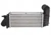 Интеркулер THERMOTEC DAC005TT (фото 4)