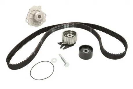 Роликовый модуль натяжителя ремня (ролик. Ремень. Помпа) SKF VKMC02179