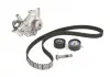 Роликовый модуль натяжителя ремня (ролик. Ремень. Помпа) SKF VKMC 03235