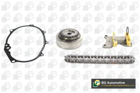 Комплект ланцюга ГРМ Passat / Jetta / Golf / Octavia 2.0 FSI 04- (з шестернями / + VVT) BGA TC0110VFK