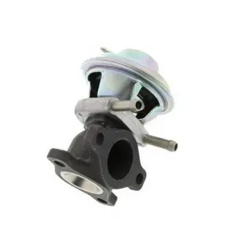 Клапан реціркуляції газів MAGNETI MAGNETI MARELLI EV064 (фото 1)