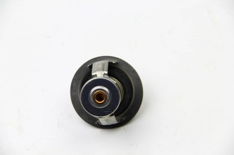 Термостат Scudo / Jumpy / Expert (1868mm) /2.0HDI Peugeot/Citroen 1338.23