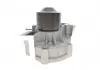 Комплект (ремень + ролик + помпа) SKF VKMC 98109-2 (фото 9)