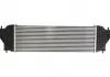 Интеркулер THERMOTEC DA8001TT (фото 3)