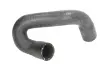 Шланг резиновый сист. охлажден. THERMOTEC DWX093TT (фото 1)