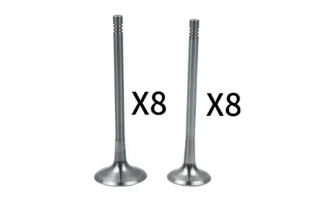Клапан впускной (к-кт 8 * 8) 06D109601K + 06D109611L Borsehung B18634
