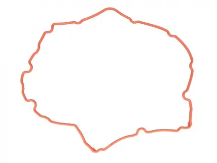 Прокладка клапанной крышки VICTOR REINZ 71-38172-00