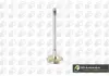 Клапан выпуск. BMW3 (E46 / E36) / 5 (E39 / E34) 1.8 / 3.0i 89-10 (105.7x30.4x6) V090100