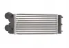 Радіатор інтеркулера PSA DV6TED4 + FAP THERMOTEC DAP002TT (фото 2)