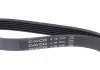 Ремень поликлиновой DAYCO 6PK1018 (фото 2)