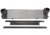 Интеркулер THERMOTEC DAB013TT (фото 1)