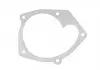 Прокладка водяного насоса Duster / Logan / Sandero 1.5-2.0 DCI 97- RENAULT 210147197R (фото 2)
