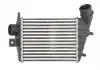 Интеркулер THERMOTEC DAD001TT (фото 1)
